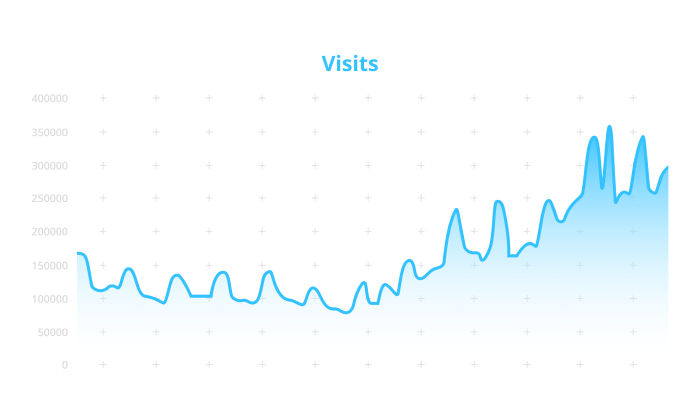 Visits